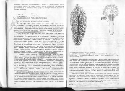 Биология