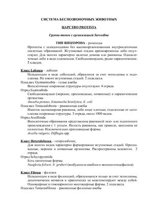 Систематика беспозвоночных животных
