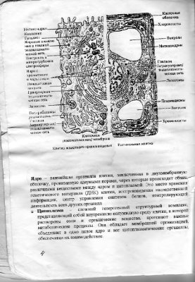 Раздаточный материал по курсу Биохимия. Часть 1