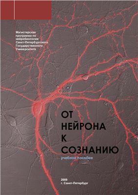 От нейрона к сознанию