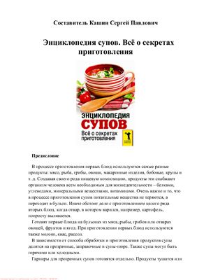 Энциклопедия супов. Всё о секретах приготовления