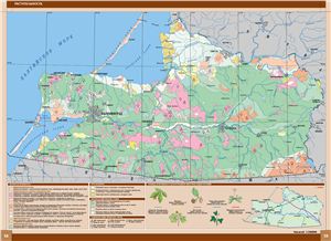 Карта растительности Калининградской области