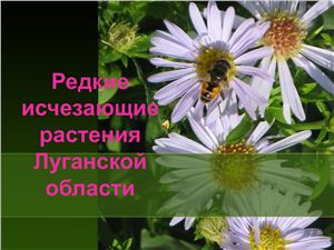 Редкие исчезающие растения Луганской области