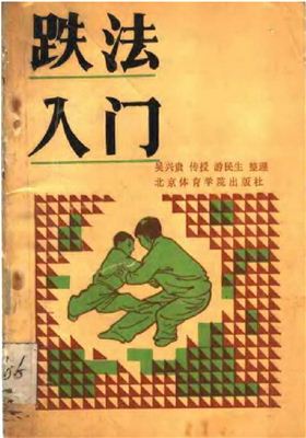 Сунси нэйцзя цюань 跌法入门