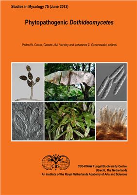 Phytopathogenic Dothideomycetes