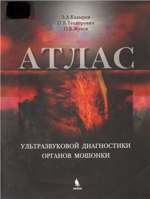 Атлас ультразвуковой диагностики органов мошонки