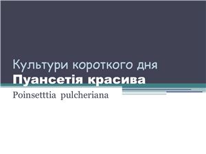 Культури короткого дня: Пуансетія красива (фотопрезентація)