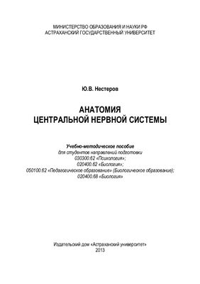 Анатомия центральной нервной системы