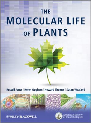 The Molecular Life of Plants (Part I)
