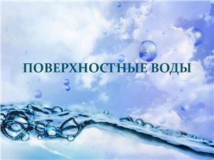 Конспект урока по географии. 10 класс. Поверхностные воды