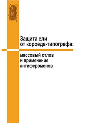 Защита ели от короеда-типографа: массовый отлов и применение антиферомонов