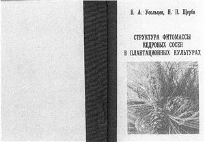 Структура фитомассы кедровых сосен в плантационных культурах
