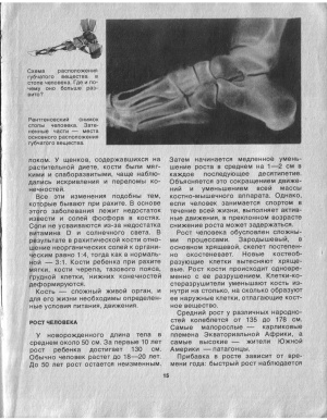 Опора и движение организма