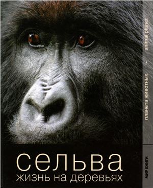 Сельва. Жизнь на деревьях
