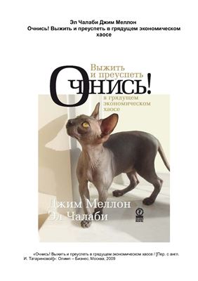 Очнись! Выжить и преуспеть в грядущем экономическом хаосе