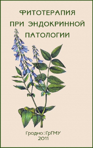 Фитотерапия при эндокринной патологии.