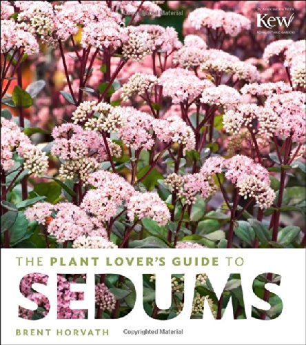 The plant lover’s guide to sedums