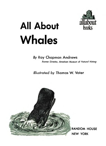 All about whales