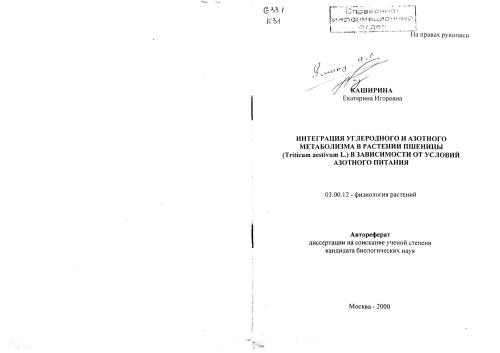 Интеграция углеродного и азотного метаболизма в растении пшеницы (Triticum aestivum L.) в зависимости от условий азотного питания