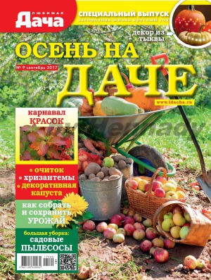 Любимая дача. Осень на даче