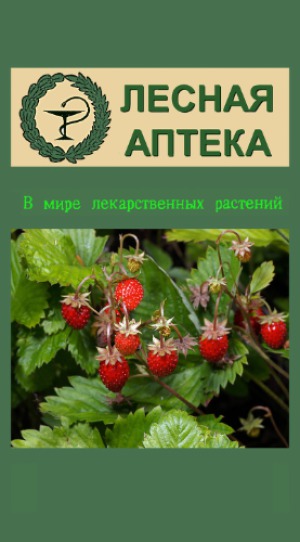 Лесная аптека