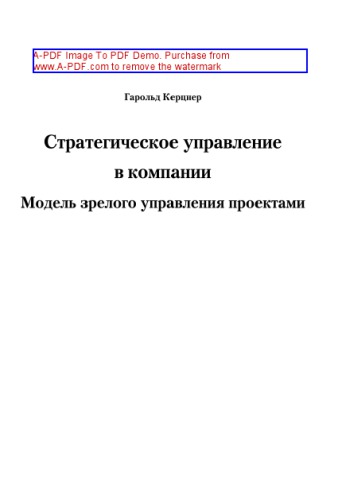 Стратегическое управление в компании. Модель зрелого управления проектами