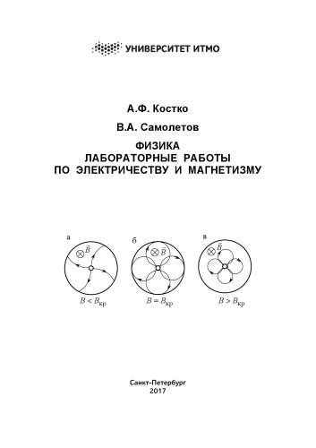 Физика. Лабораторные работы по электричеству и магнетизму: Учебно-методическое пособие