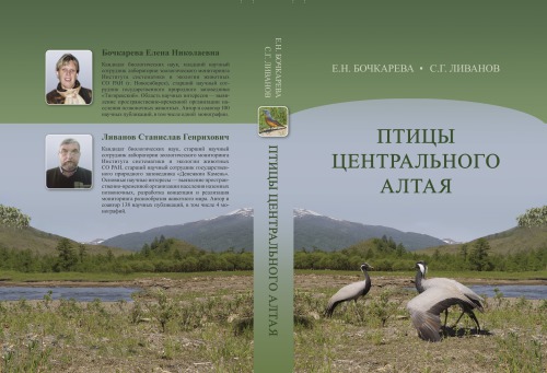 Птицы Центрального Алтая