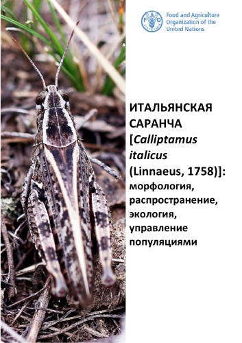 Итальянская саранча : морфология, распространение, экология, управление популяциями