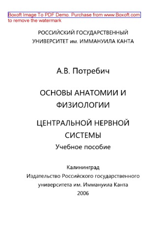 Основы анатомии и физиологии центральной нервной системы. Учебное пособие