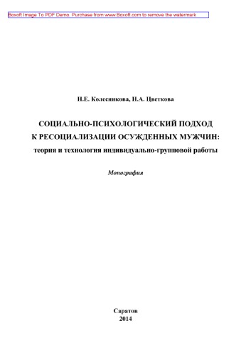 Социально-психологический подход к ресоциализации осужденных мужчин. Теория и технология индивидуально-групповой работы. Монография