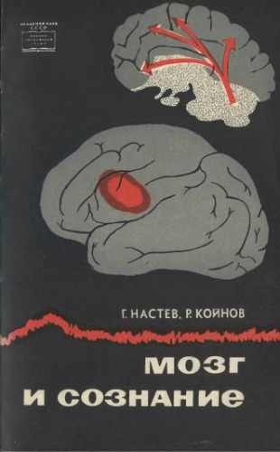 Мозг и сознание.