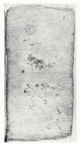 Codex Peresianus. Maya codices / Codex Maya