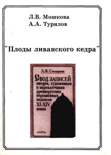 Плоды ливанского кедра