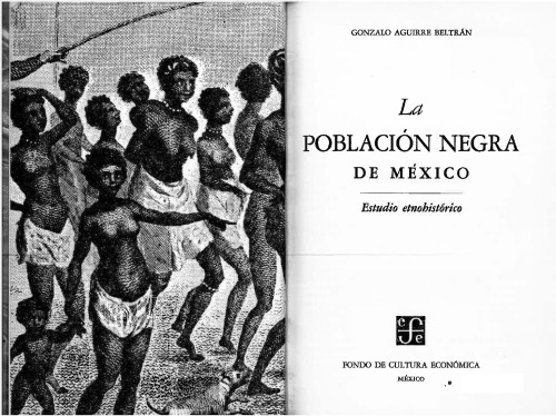 La población negra de México: estudio etnohistórico