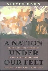 A Nation Under Our Feet: Black Political Struggles in the Rural South from Slavery to TheGreat Migration