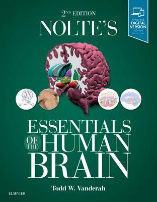 Nolte’s Essentials of the Human Brain