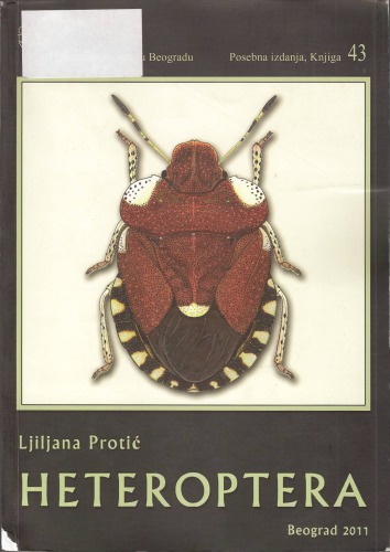 Heteroptera