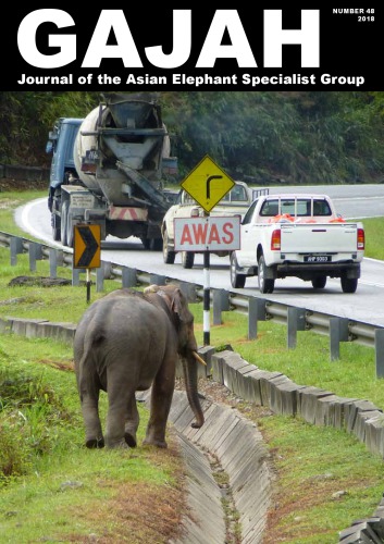GAJAH - 48