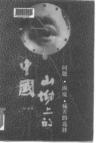 山坳上的中国:问题·困难·痛苦的选择