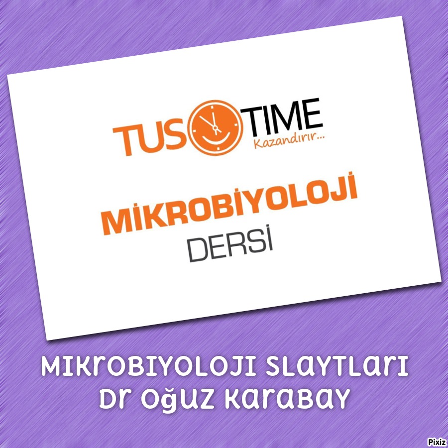 Mikrobiyoloji Slaytları