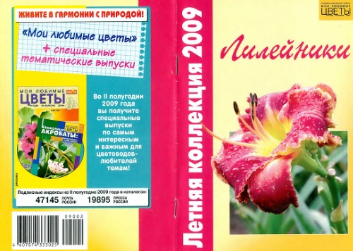 Лилейники