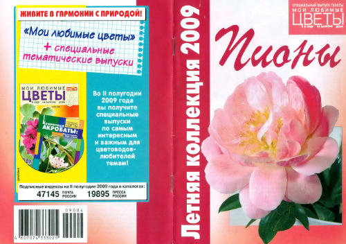 Пионы.