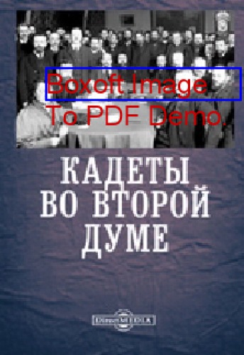 Кадеты во второй думе: публицистика