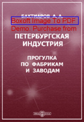 Петербургская индустрия. Прогулка по фабрикам и заводам: духовно-просветительское издание