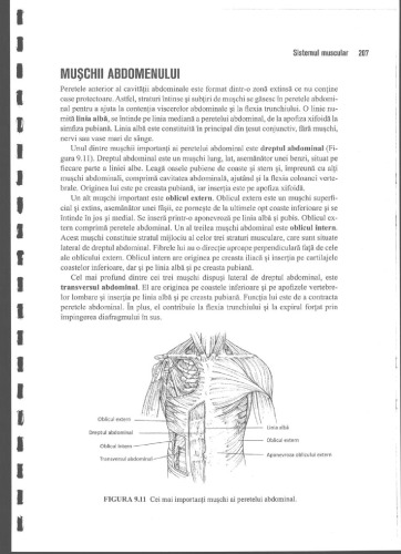 Anatomie Si Fiziologie Umana Pentru Admitere La Facultatile de Medicina Partea 2 Anatomia Omului
