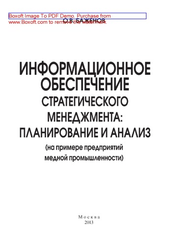 Информационное обеспечение стратегического менеджмента: планирование и анализ (на примере предприятий медной промышленности): монография