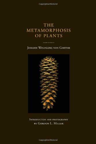 The metamorphosis of plants