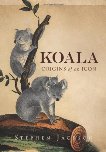 Koala: Origins of an Icon
