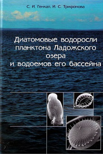 Диатомовые водоросли планктона Ладожского озера и водоемов его бассейна